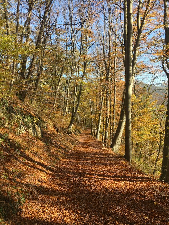 Pension Chesselberg Buckten Bagian luar foto
